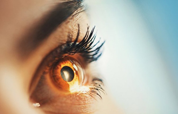 پرینت سه بعدی قرنیه چشم